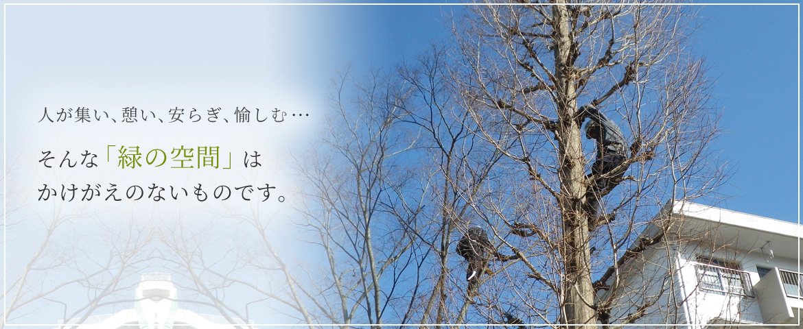 「緑の空間」はかけがえのないものです。