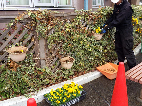 花壇 プランターの花植え